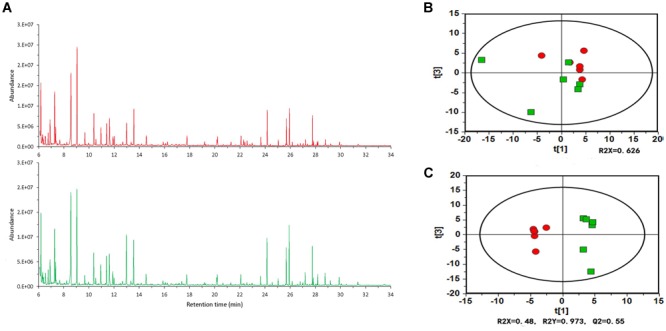 FIGURE 2