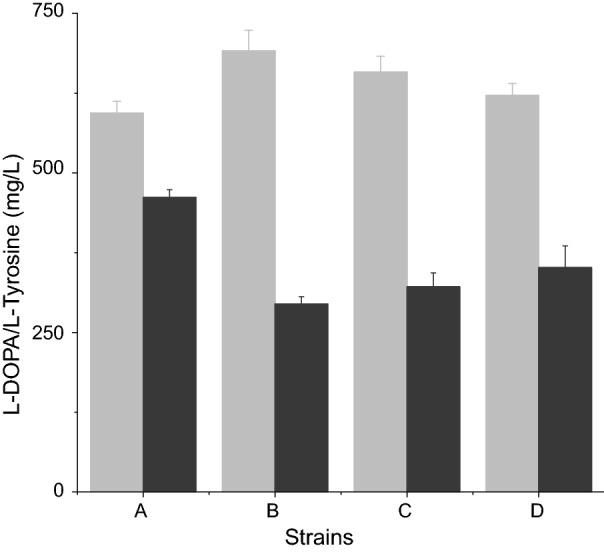 Fig. 2