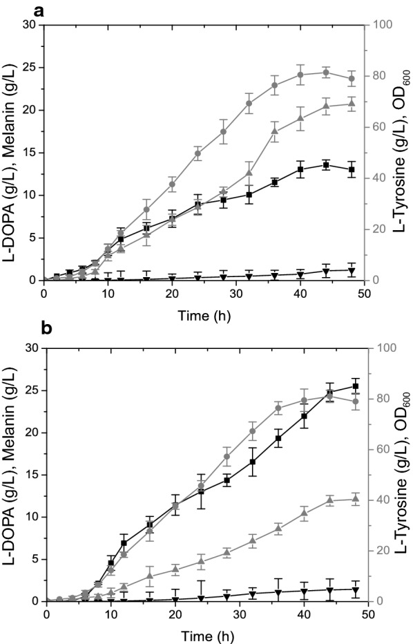 Fig. 3