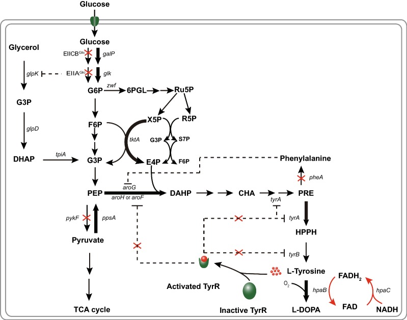 Fig. 4