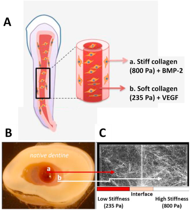 Fig. 4