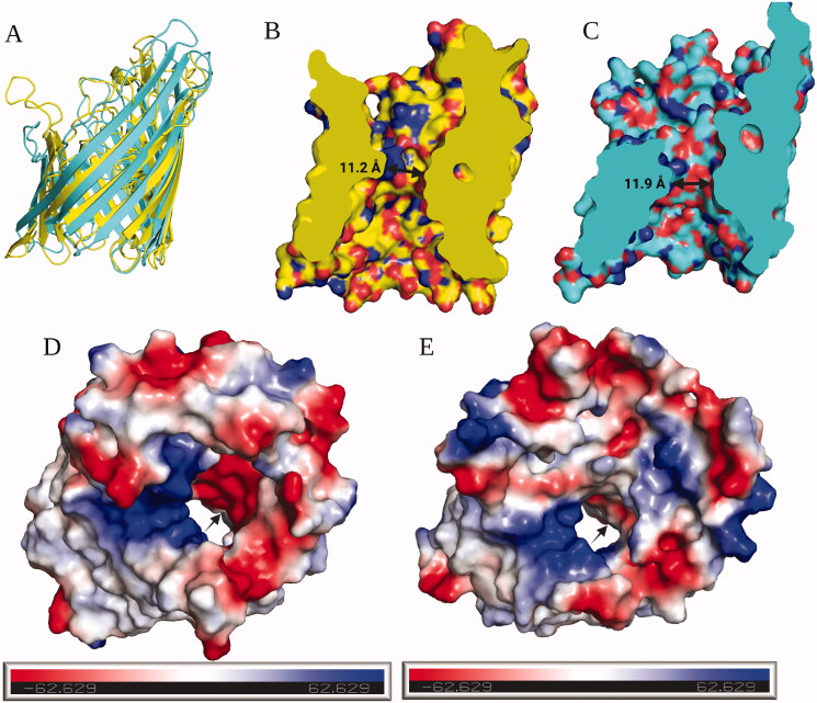 Figure 4.