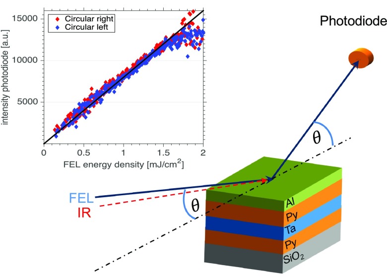 FIG. 1.