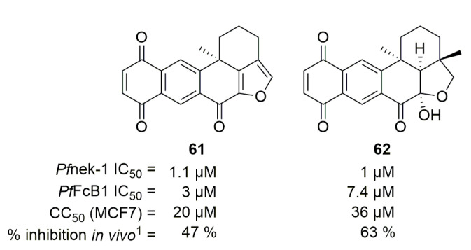 Figure 16