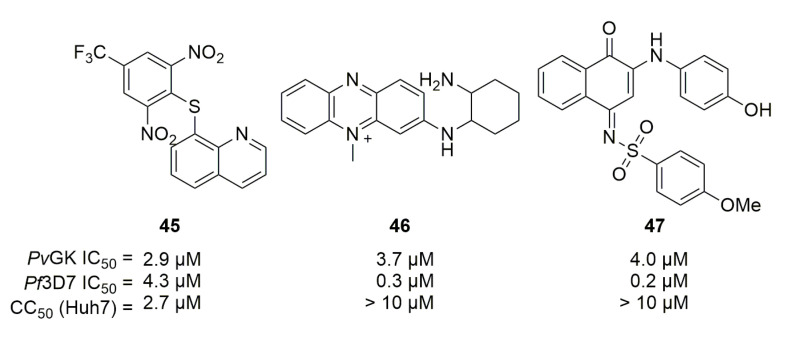 Figure 13