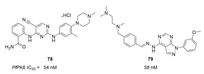 Figure 22