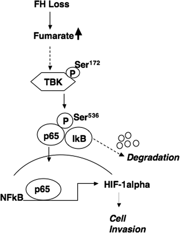 FIGURE 9.