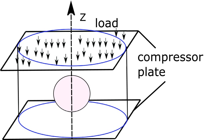 FIGURE 1.