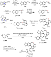 Scheme 46