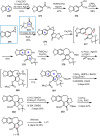 Scheme 36