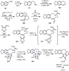 Scheme 19