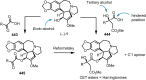 Scheme 44