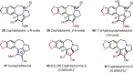 Figure 7