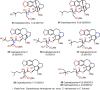 Figure 10