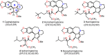 Figure 2