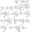 Scheme 23