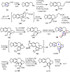 Scheme 14