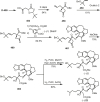 Scheme 49