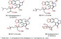 Figure 11