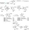 Scheme 53