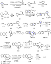 Scheme 33