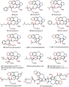 Figure 5