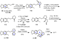 Scheme 6