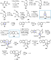 Scheme 37