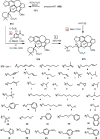 Scheme 63