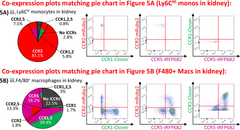 Figure 5—figure supplement 1.