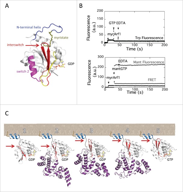 Figure 2.