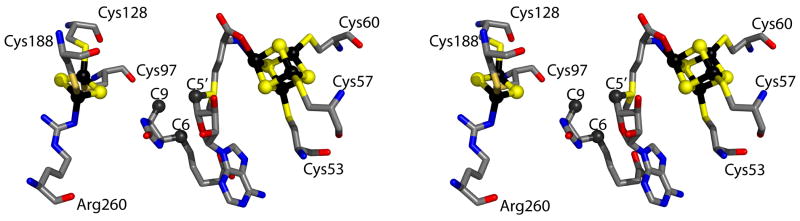 Figure 8