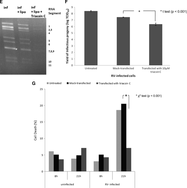 FIG. 10.