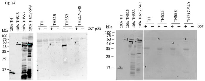 Fig. 7