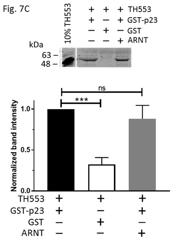 Fig. 7