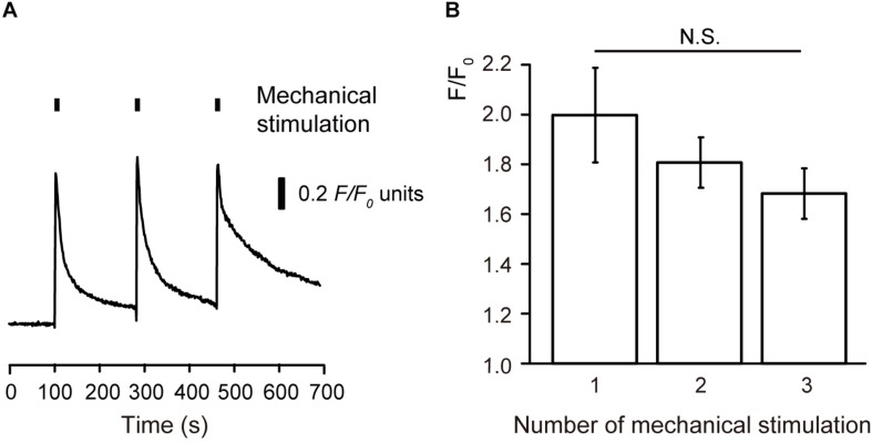 FIGURE 2