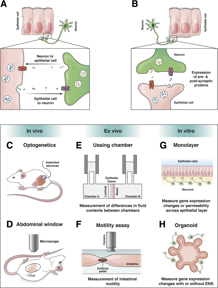 Figure 2