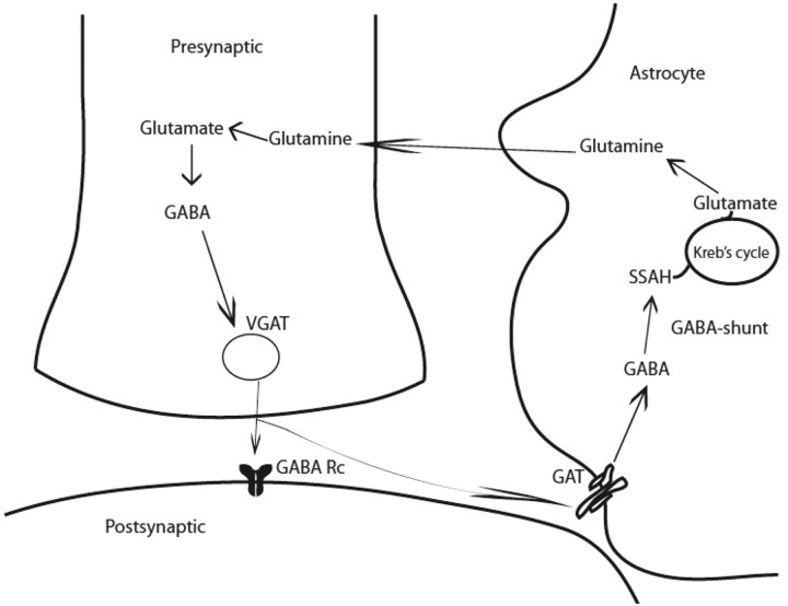 Fig 2.