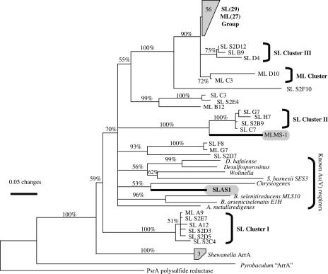 FIG. 7.