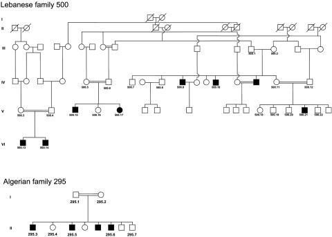 Figure  1. 