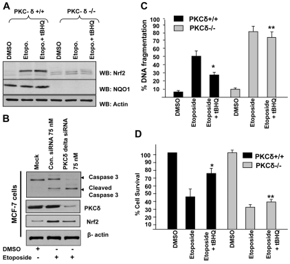 Fig. 9.