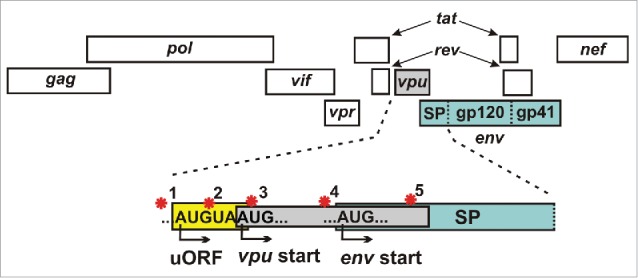 Figure 2.