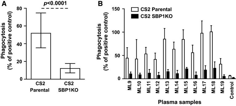 Fig. 7