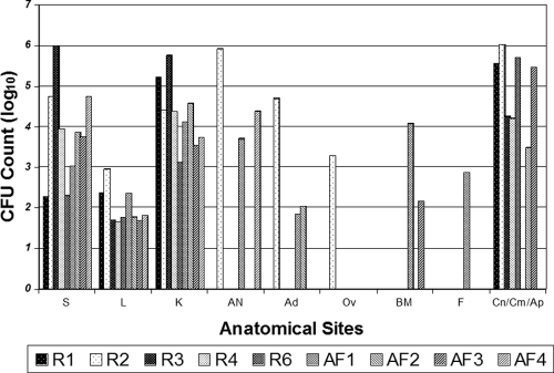 FIG. 3.