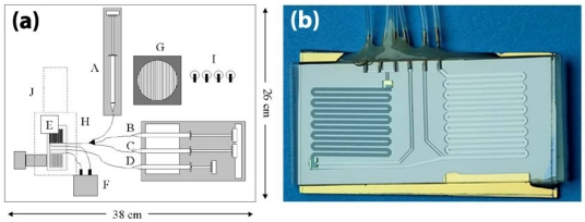 Figure 10.