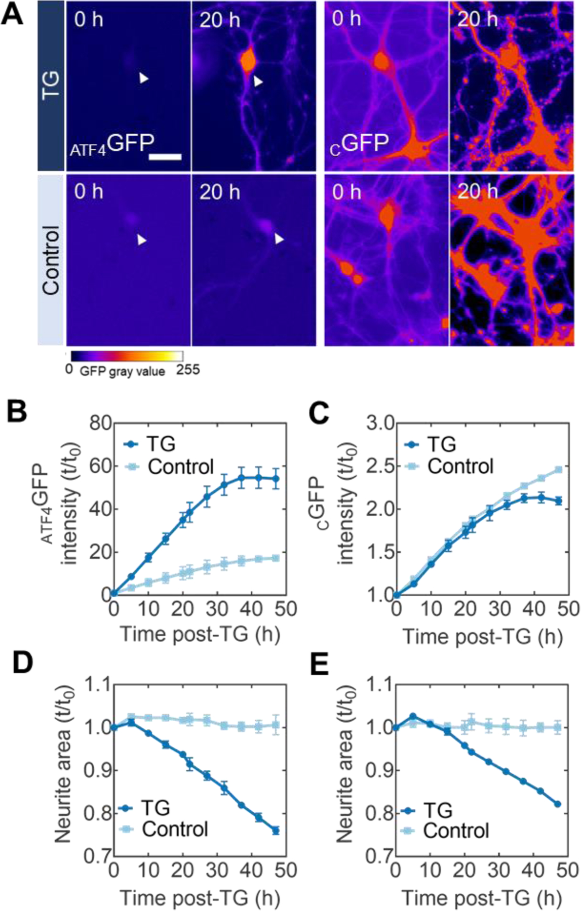 Figure 2: