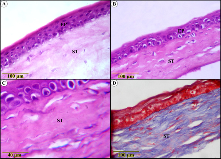 Fig. 5