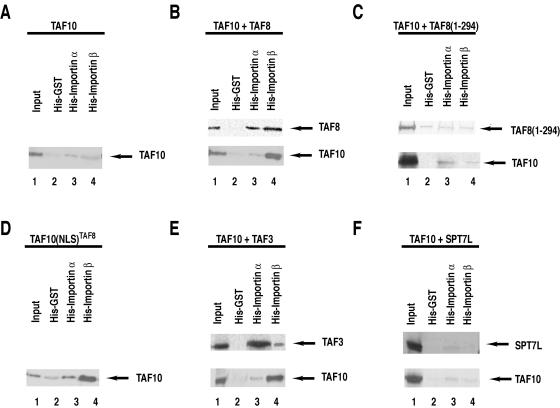 FIG. 7.