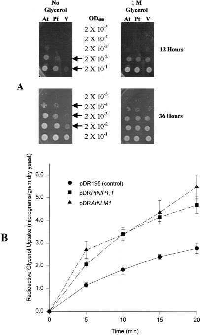 Figure 7