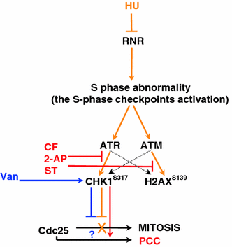 Fig. 2